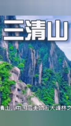 庐州插花参与首期全国非物质文化遗产传统插花高级研修班