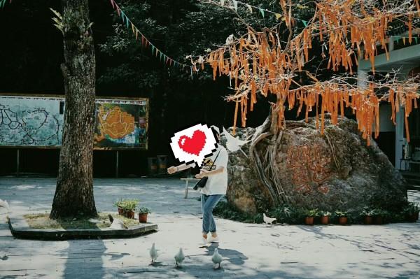 虫虫助手下载