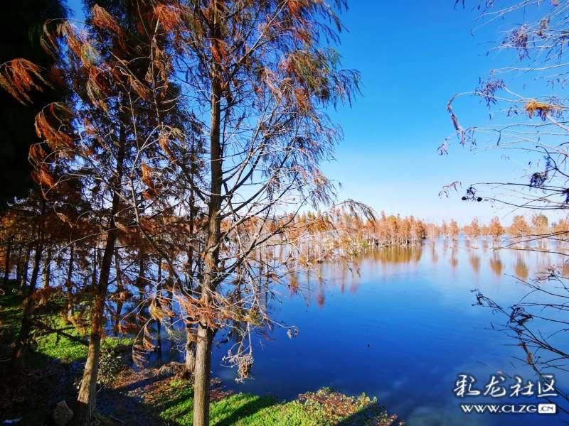 冷知识分享平台|你们当地婚礼都有哪些特别的习俗?-发现更多有趣冷知识