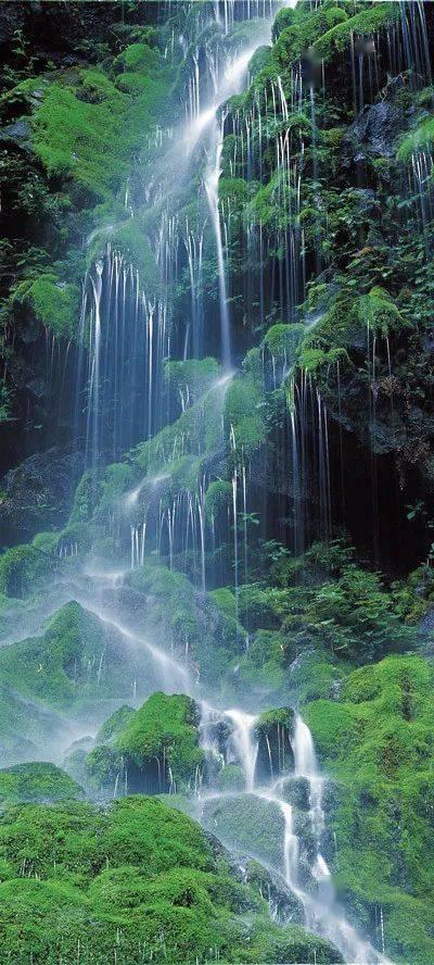 光明大陆