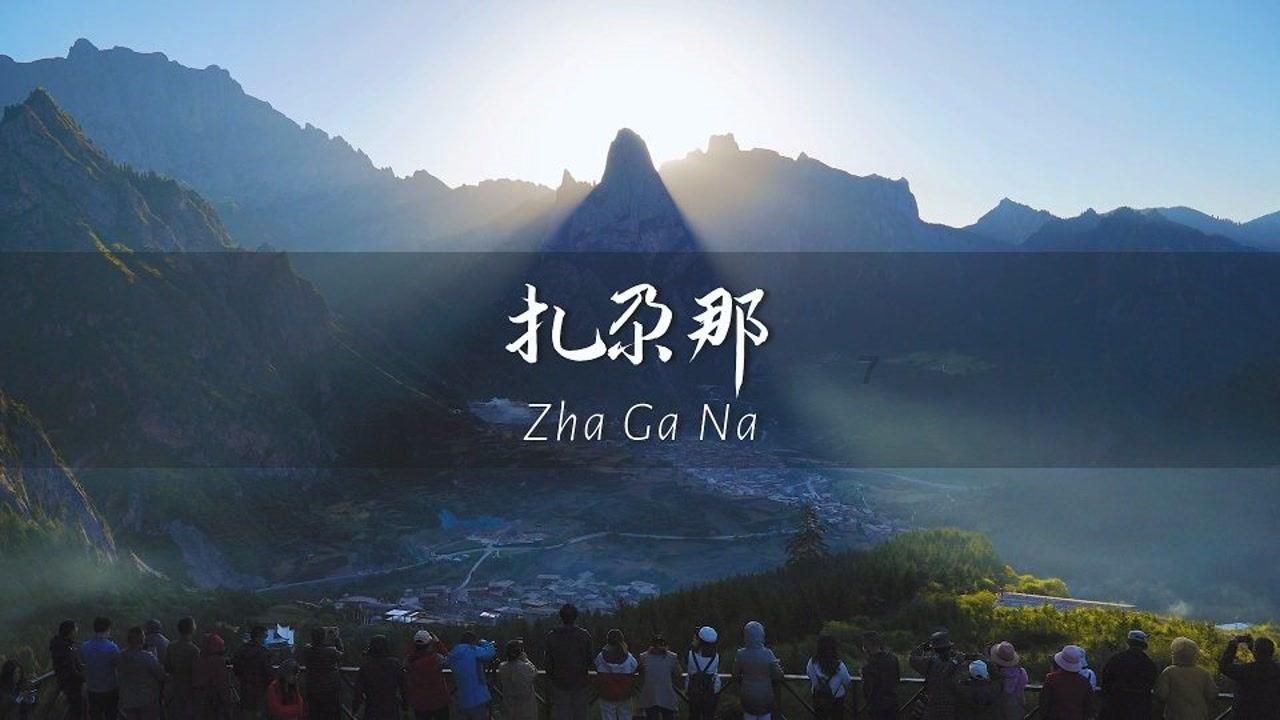 lovely party缩写-专业问答平台,精准解答你的疑问!