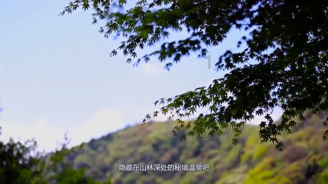 寻找古代宝藏