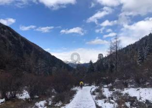 卡通骆驼救援