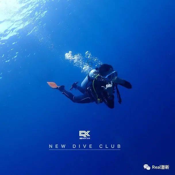 智慧问答网页—探索尔冬升新片《海的尽头是草原》入围天坛奖,凭借的是什么?的最佳问题解答平台