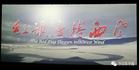 海盗寻宝记