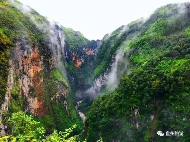 异形星球塔防