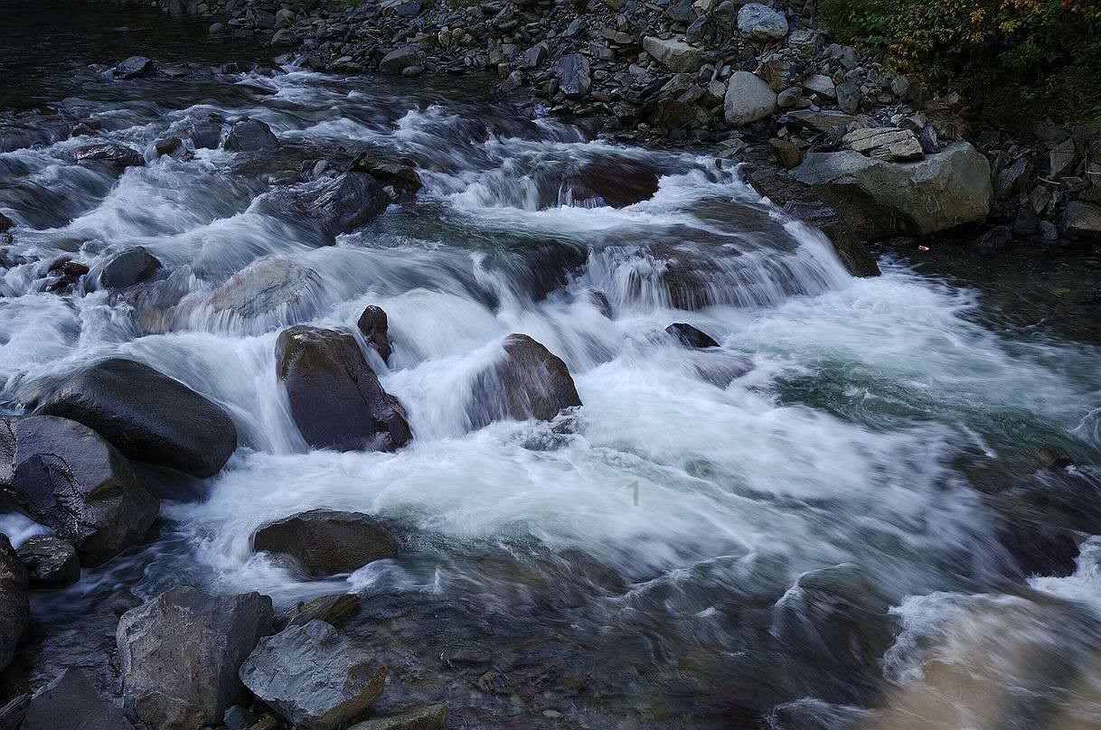 杨淑丽同志简历