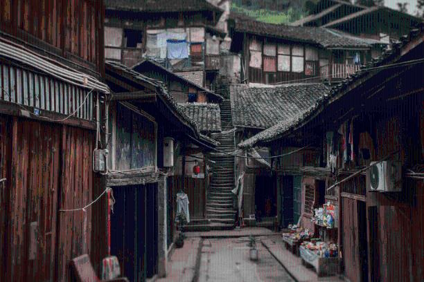 动物帮帮忙保卫家园