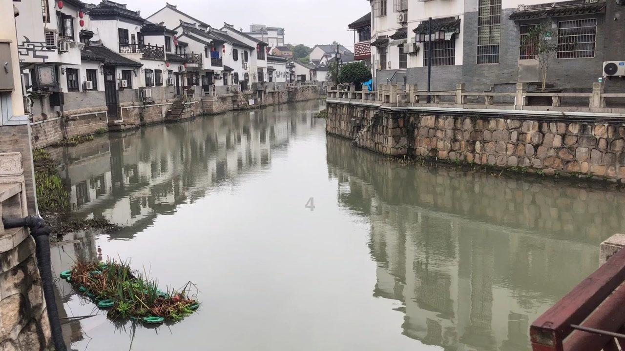 金牛座女和什么星座最配-热门红迪网,分享你的热点话题