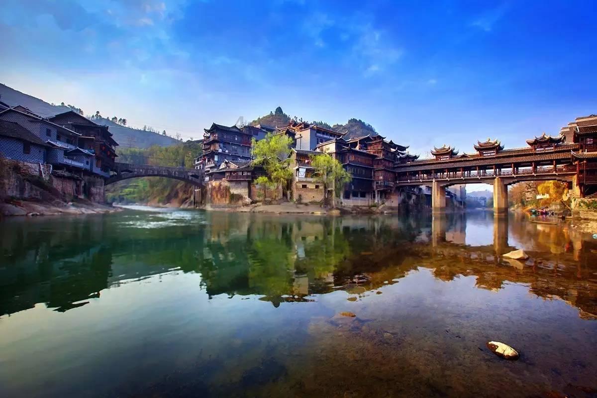 悲伤兔大冒险
